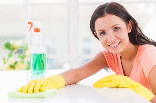 Cleaner Belgravia professional cleaning service in a refined Belgravia home