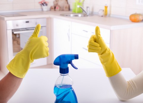 Professional upholstery cleaning for elegant Belgravia home seating