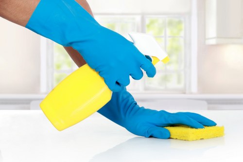 Cleaner working in an elegant Belgravia apartment