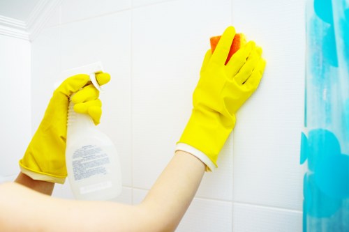 Professional cleaner removing grease from an oven door in Belgravia