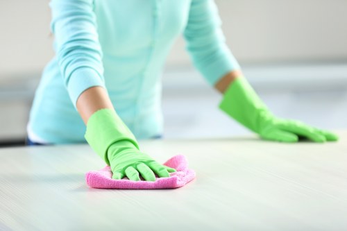 Detailed kitchen deep cleaning for a Belgravia home