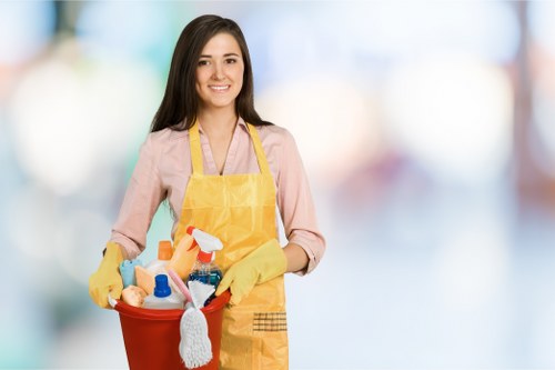 Terms and conditions document for cleaning services