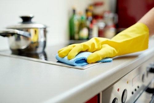 Professional cleaner using approved cleaning equipment
