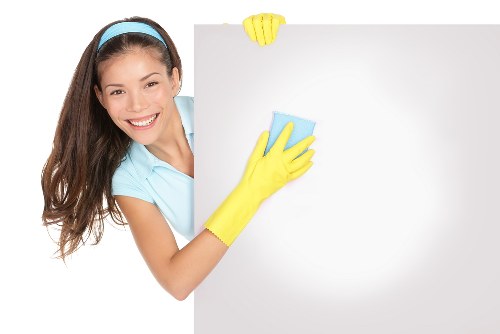 Pet stain and odour removal for carpets and soft furnishings in Belgravia