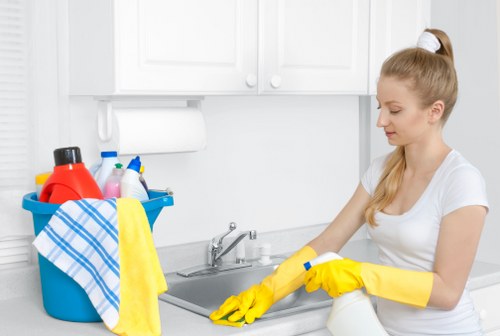 Domestic cleaner working in a Belgravia kitchen and bathroom
